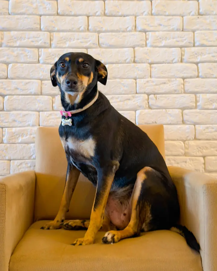 Chica sentada en el sillón de la recepción