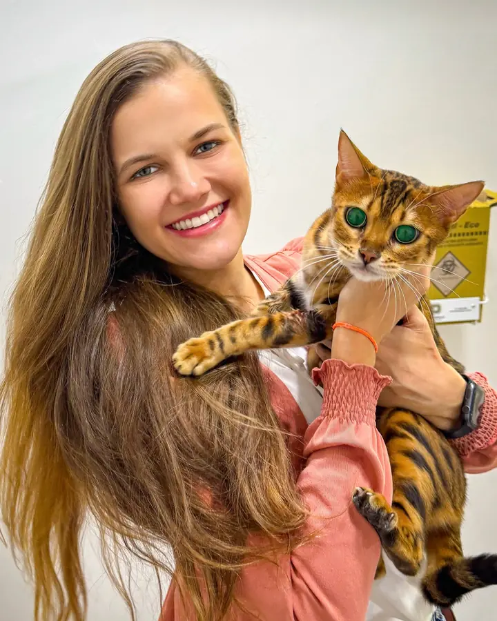 Gato atigrado en brazos