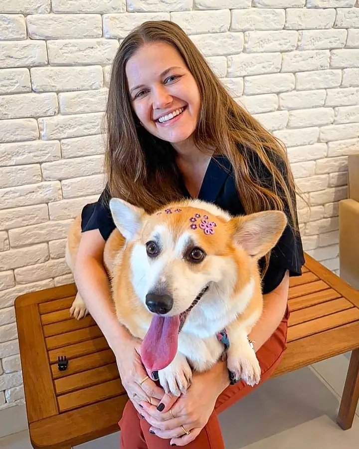 Veterinaria con un corgi en brazos