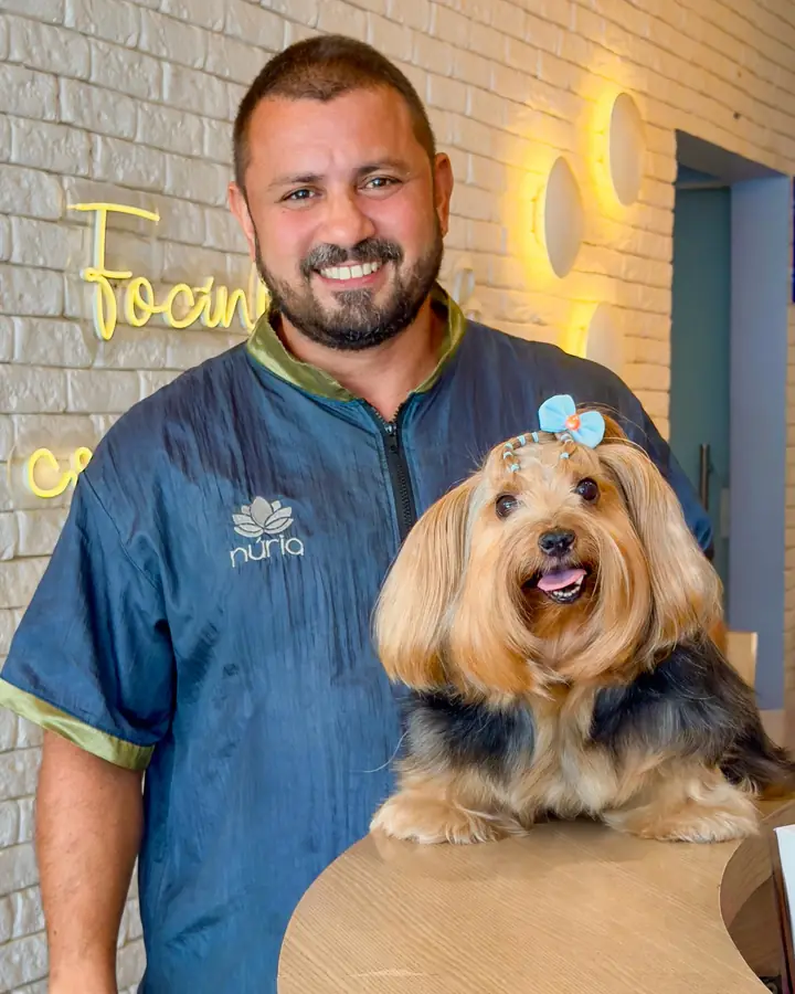 Peluquero de Bicho Mimado con un yorkshire de lazo azul