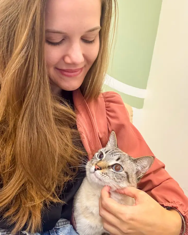 Gatito en brazos de la veterinaria