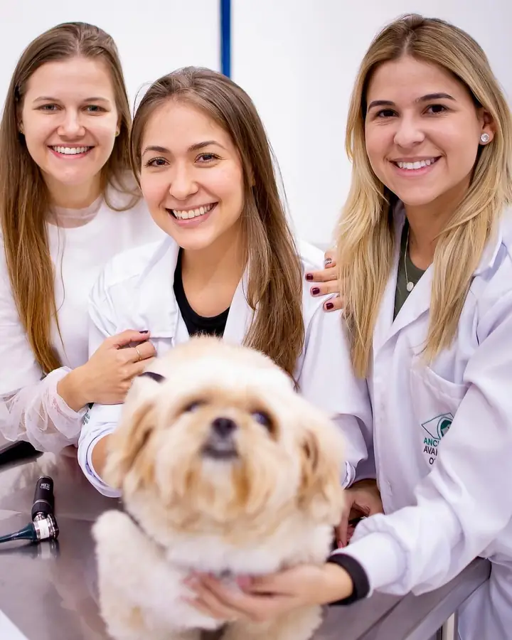 Veterinarias con un shih tzu